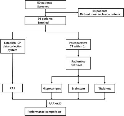 The application value of CT radiomics features in predicting pressure amplitude correlation index in patients with severe traumatic brain injury